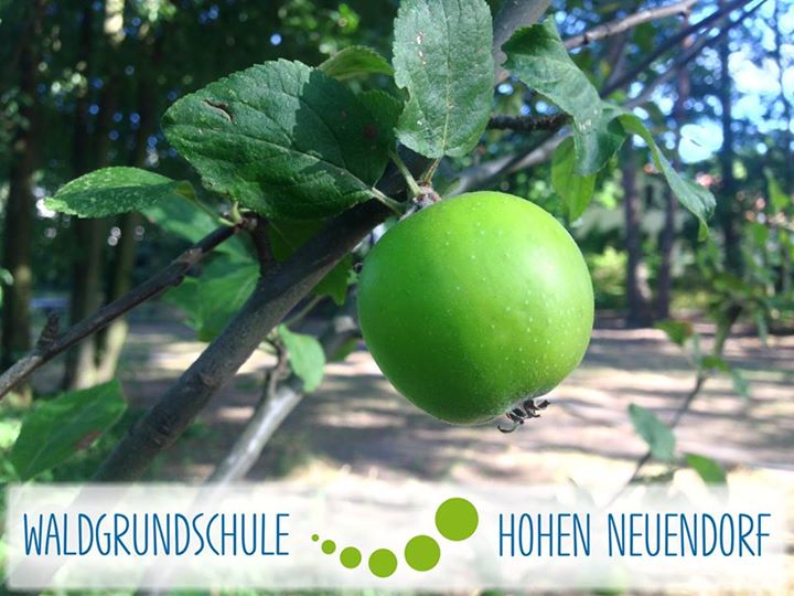 Die Sommerferien sind auf der Zielgeraden angekommen: Der Start ins nächste Schu…