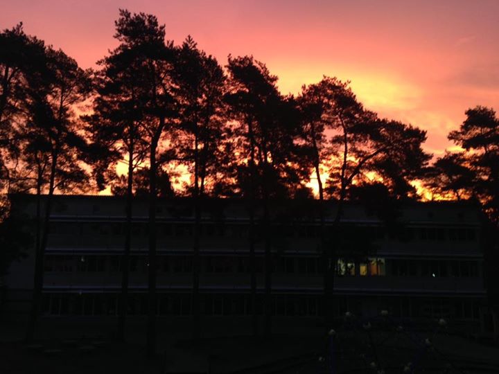 Die Sonne geht auf…
über der Waldgrundschule. Allen einen sonnigen Tag!