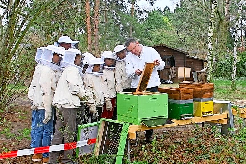 Die Waldgrundschule brummt