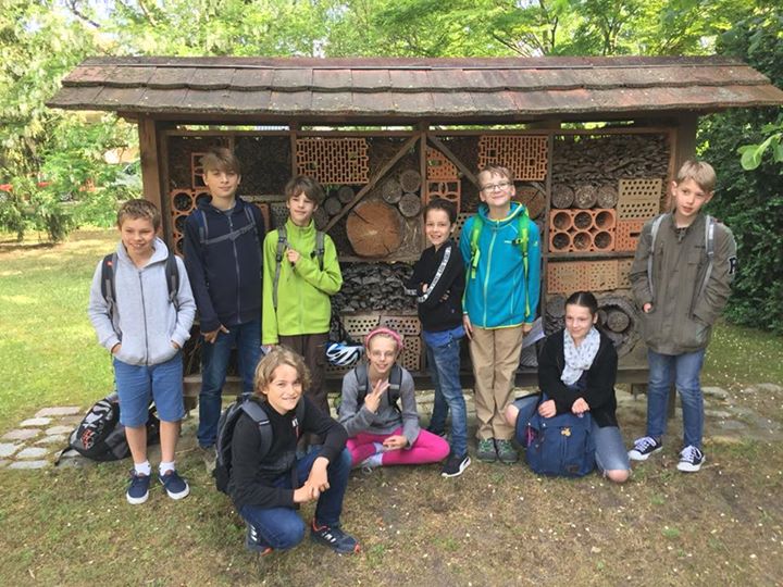 Besuch im Länderinstitut für Bienenkunde
Anlässlich des nahenden Weltbienentages…