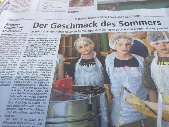 Der Geschmack des Sommers – unser erster Honig!
Heute im Oranienburger Generalan…