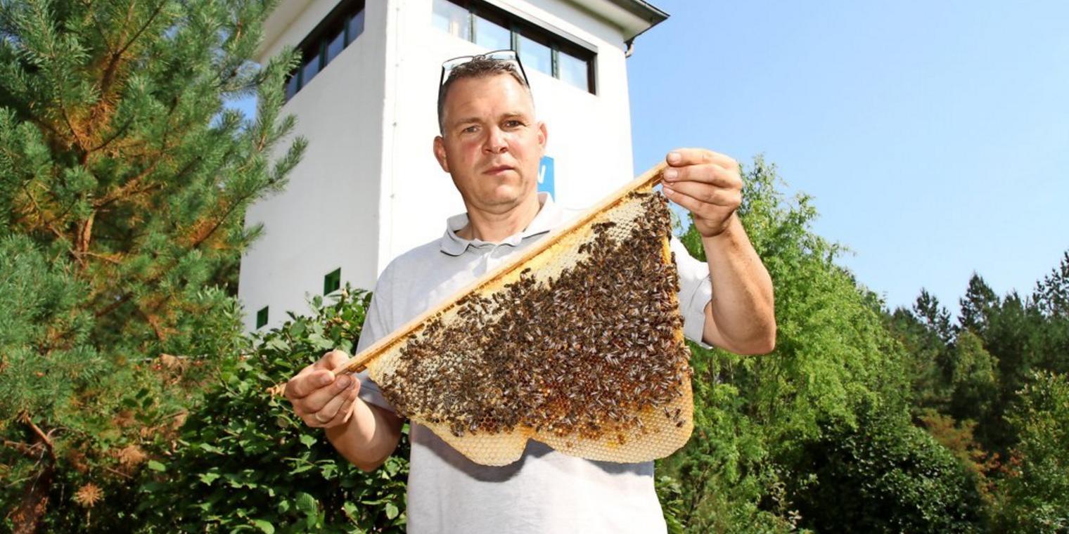 Bienen-Mann macht Kinder schlau