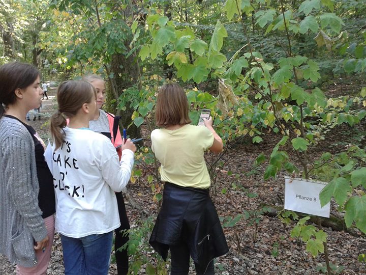 Waldtag der 6. Klassen in Stolpe

Am 19.09.18 führten die vier 6. Klassen ihren …