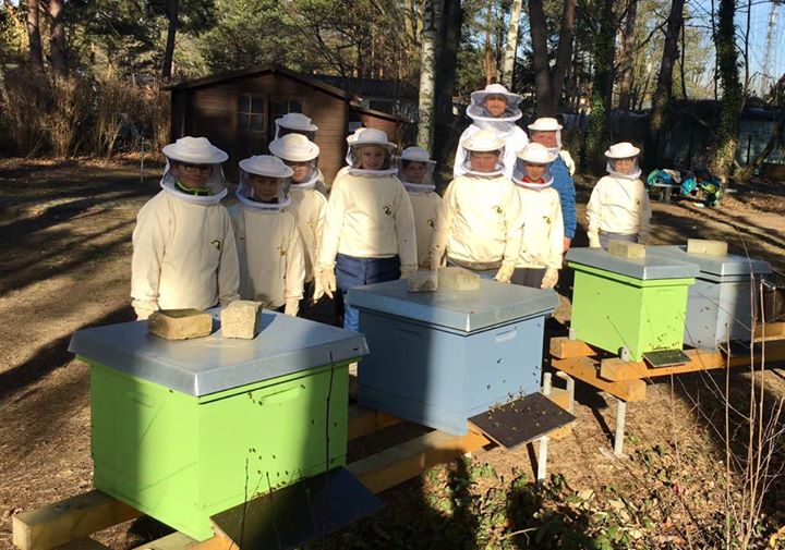 Unseren Bienen geht es gut!Hurra, heute ging es Dank schönstem Vorfrühlingswette…