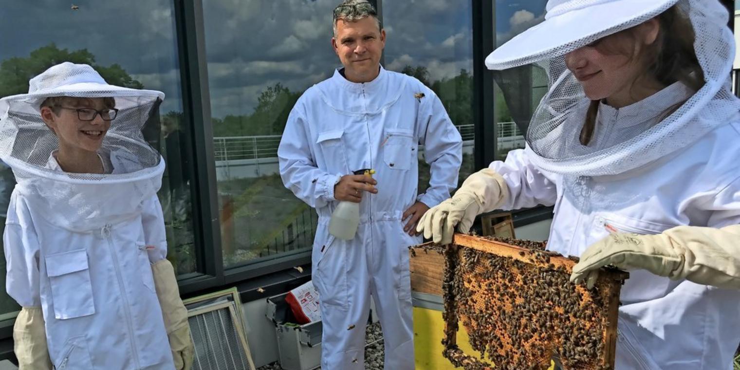 Die Bienenstadt rüstet auf