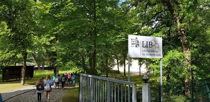 Heute war die 3a im Länderinstitut für Bienenkunde und hat ganz viel dazu gelern…